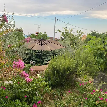 Daire Luna Garden