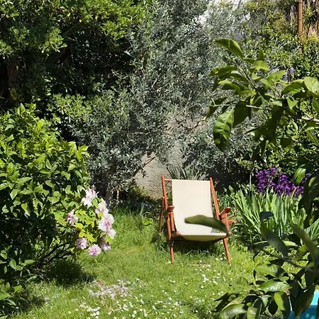 Luna Garden Daire